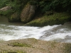SONY DSC
