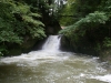 SONY DSC