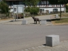 SONY DSC