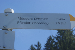 08-Moggers