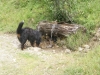 SONY DSC