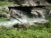 SONY DSC