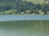 Kooistra4811