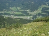 Kooistra4813