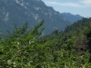 Kooistra4855