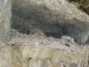 Kooistra4890