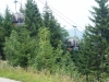 Kooistra5132