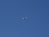 SONY DSC