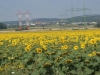 SONY DSC