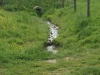 SONY DSC