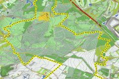 Brunssumerheide