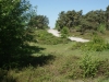 SONY DSC