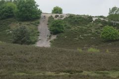 Heide