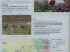 kooistra3970