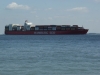 SONY DSC