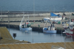 SONY DSC