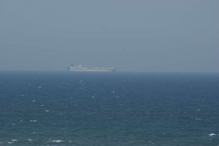 SONY DSC