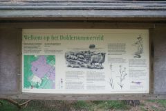 Doldersummerveld
