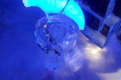 Kooistra-9212