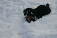 marley027