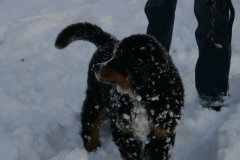 marley028
