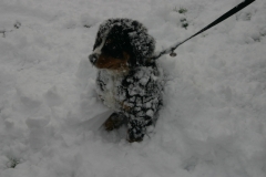 marley031