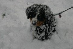 marley032