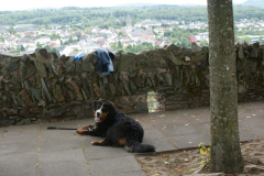 Marley 2010