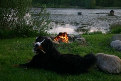 marley075