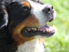 marley098