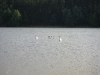 imgp0009
