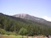 imgp0029