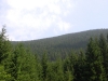 imgp0032