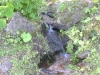 imgp0035