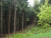 kooistra1971