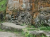 SONY DSC