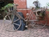 SONY DSC