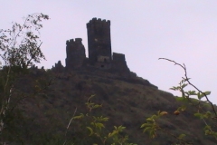 pic_0105